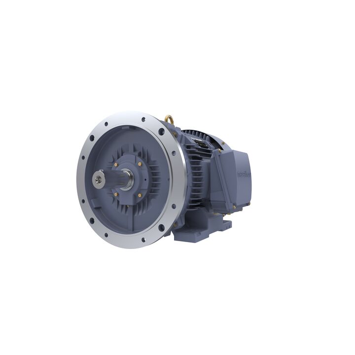 Cast Iron Motor, 75 HP, 3 Ph, 50 Hz, 400 V, 3000 RPM, 250M Frame, TEFC