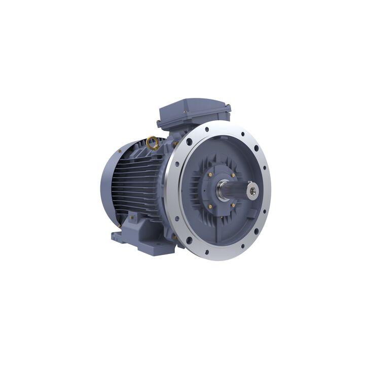 Cast Iron Motor, 75 HP, 3 Ph, 50 Hz, 415 V, 3000 RPM, 250M Frame, TEFC