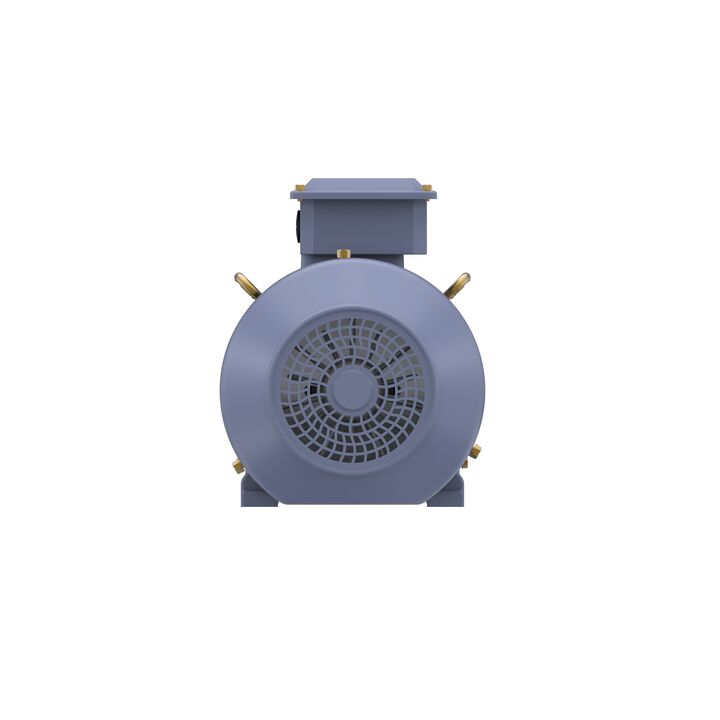 Cast Iron Motor, 1.50 HP, 3 Ph, 50 Hz, 400 V, 1500 RPM, 90S Frame, TEFC