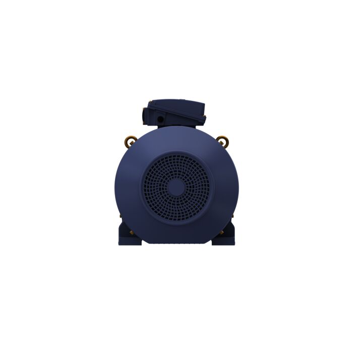 Cast Iron Motor, 60 HP, 3 Ph, 50 Hz, 400 V, 1500 RPM, 225M Frame, TEFC