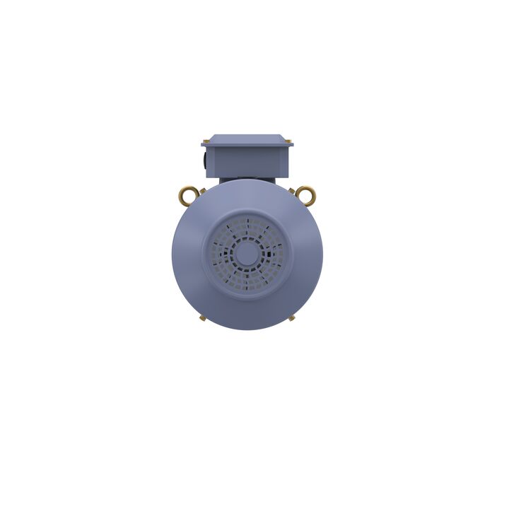 Cast Iron Motor, 15 HP, 3 Ph, 50 Hz, 400 V, 1000 RPM, 160L Frame, TEFC