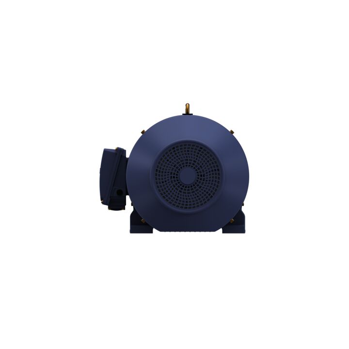 Cast Iron Motor, 75 HP, 3 Ph, 50 Hz, 400 V, 3000 RPM, 250M Frame, TEFC