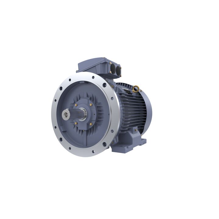 Cast Iron Motor, 75 HP, 3 Ph, 50 Hz, 415 V, 1000 RPM, 280M Frame, TEFC