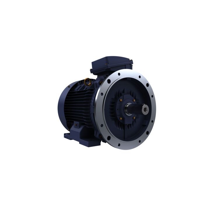 Cast Iron Motor, 60 HP, 3 Ph, 50 Hz, 415 V, 1500 RPM, 225M Frame, TEFC