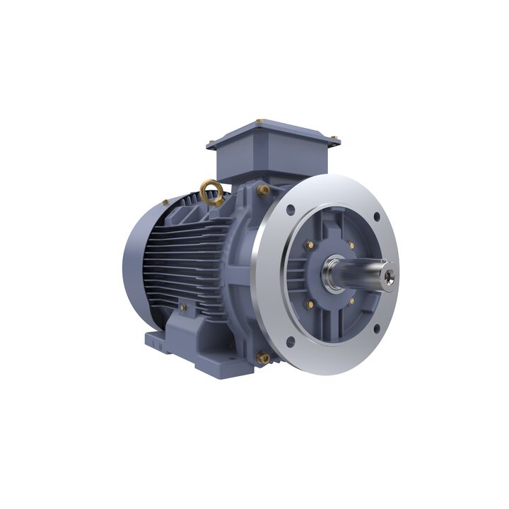 Cast Iron Motor, 15 HP, 3 Ph, 50 Hz, 400 V, 750 RPM, 180L Frame, TEFC
