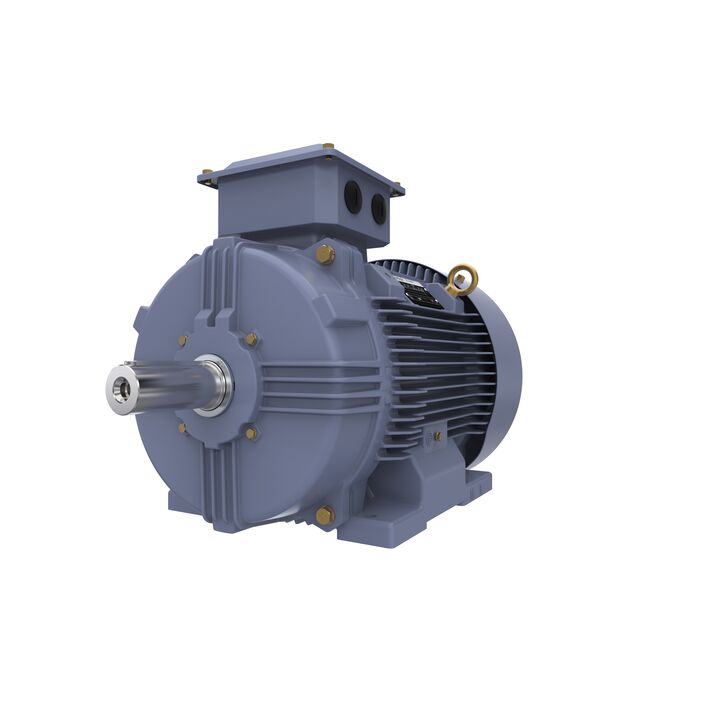 Cast Iron Motor, 15 HP, 3 Ph, 50 Hz, 400 V, 750 RPM, 180L Frame, TEFC