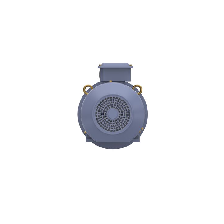 Cast Iron Motor, 1.50 HP, 3 Ph, 50 Hz, 400 V, 1000 RPM, 90L Frame, TEFC