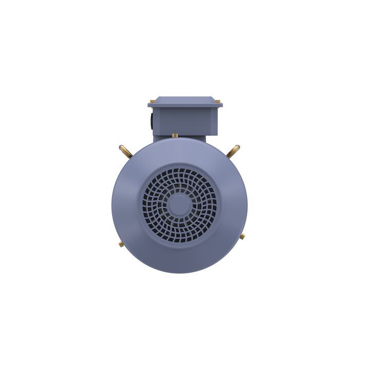 Cast Iron Motor, 1.50 HP, 3 Ph, 50 Hz, 400 V, 1000 RPM, 90L Frame, TEFC