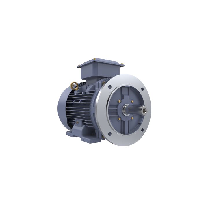 Cast Iron Motor, 15 HP, 3 Ph, 50 Hz, 400 V, 1500 RPM, 160M Frame, TEFC