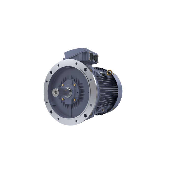 Cast Iron Motor, 50 HP, 3 Ph, 50 Hz, 415 V, 750 RPM, 280S Frame, TEFC Cast Iron Motor, 50 HP, 3 Ph, 50 Hz, 415 V, 750 RPM, 280S Frame, TEFC