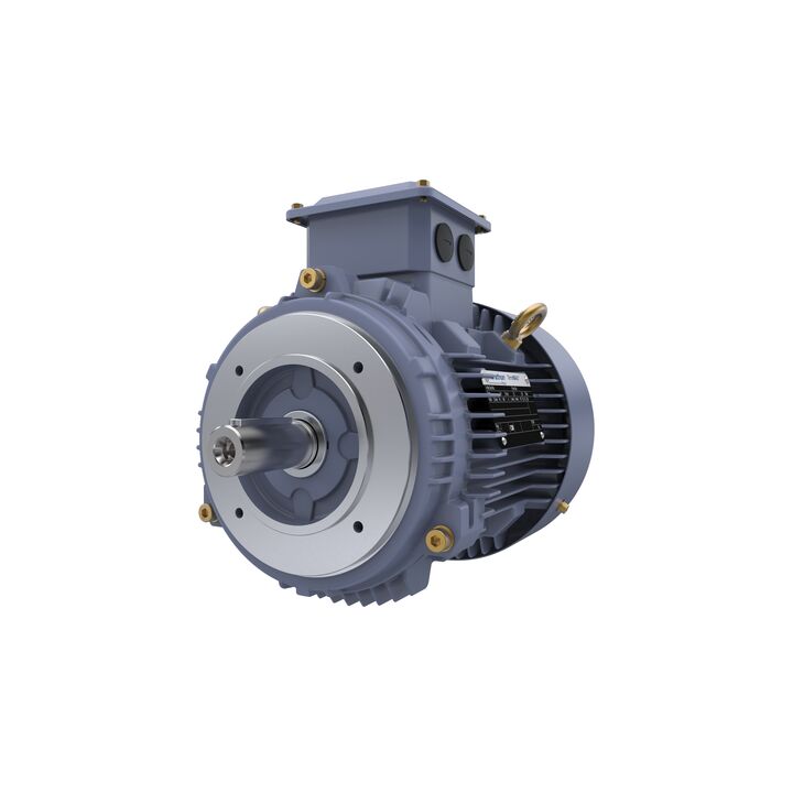 Cast Iron Motor, 1.50 HP, 3 Ph, 50 Hz, 220/380 V, 1500 RPM, 90S Frame, TEFC