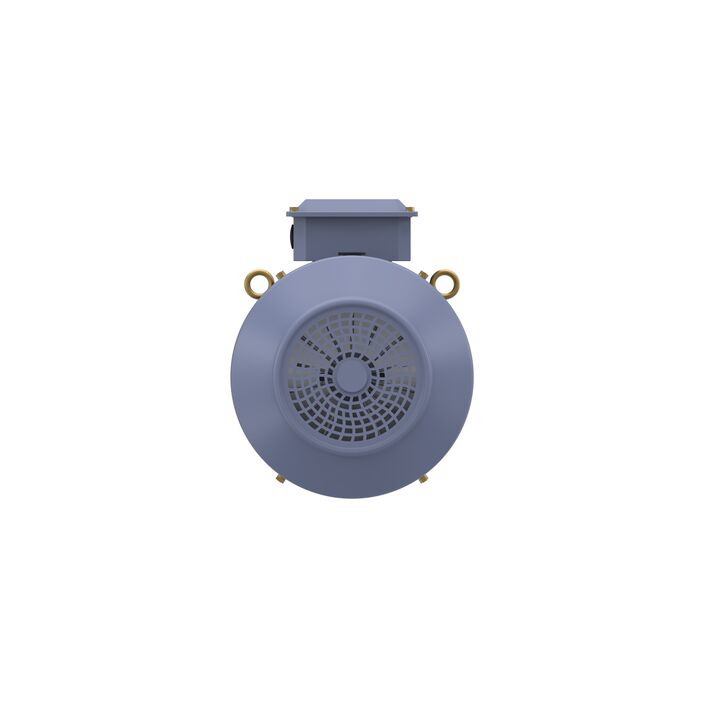 Cast Iron Motor, 15 HP, 3 Ph, 50 Hz, 400 V, 750 RPM, 180L Frame, TEFC