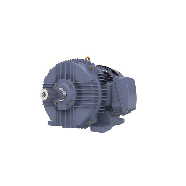 Cast Iron Motor, 75 HP, 3 Ph, 50 Hz, 380/660 V, 3000 RPM, 250M Frame, TEFC