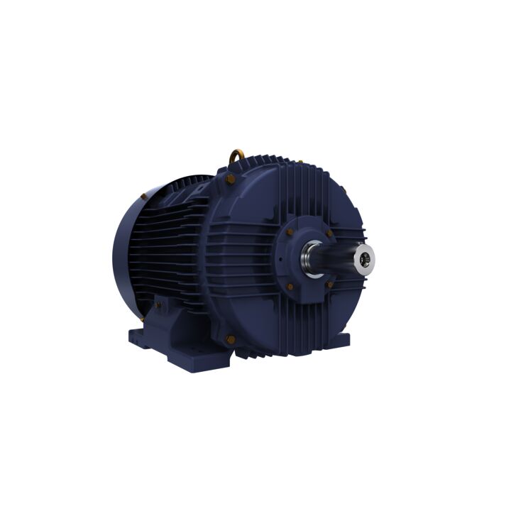 Cast Iron Motor, 75 HP, 3 Ph, 50 Hz, 400 V, 3000 RPM, 250M Frame, TEFC