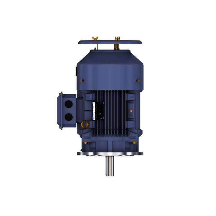 Cast Iron Motor, 20 HP, 3 Ph, 50 Hz, 415 V, 1500 RPM, 160L Frame, TEFC