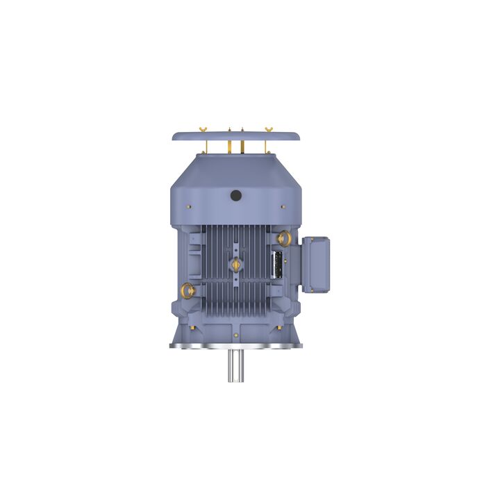 Cast Iron Motor, 75 HP, 3 Ph, 50 Hz, 415 V, 1000 RPM, 280M Frame, TEFC