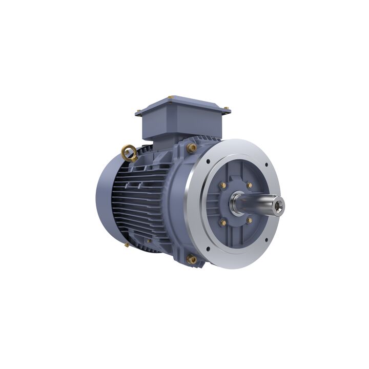 Cast Iron Motor, 20 HP, 3 Ph, 50 Hz, 380/660 V, 1500 RPM, 160L Frame, TEFC