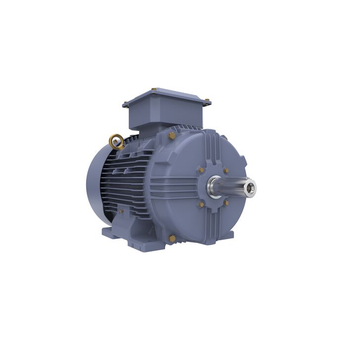 Cast Iron Motor, 15 HP, 3 Ph, 50 Hz, 400 V, 1500 RPM, 160M Frame, TEFC