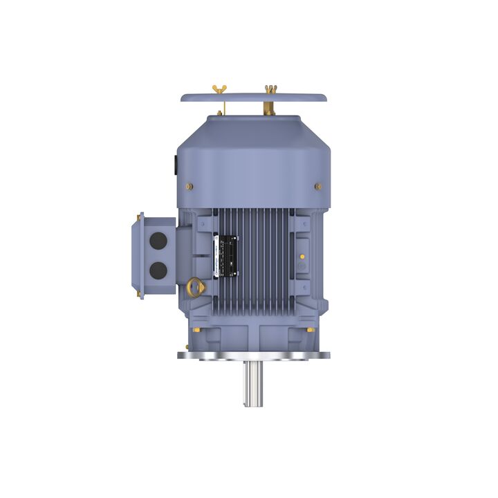 Cast Iron Motor, 15 HP, 3 Ph, 50 Hz, 400 V, 1500 RPM, 160M Frame, TEFC