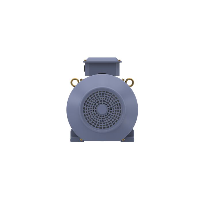 Cast Iron Motor, 15 HP, 3 Ph, 50 Hz, 400 V, 750 RPM, 180L Frame, TEFC