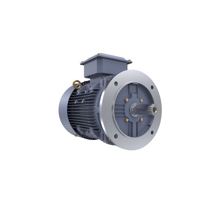 Cast Iron Motor, 15 HP, 3 Ph, 50 Hz, 415 V, 1000 RPM, 160L Frame, TEFC