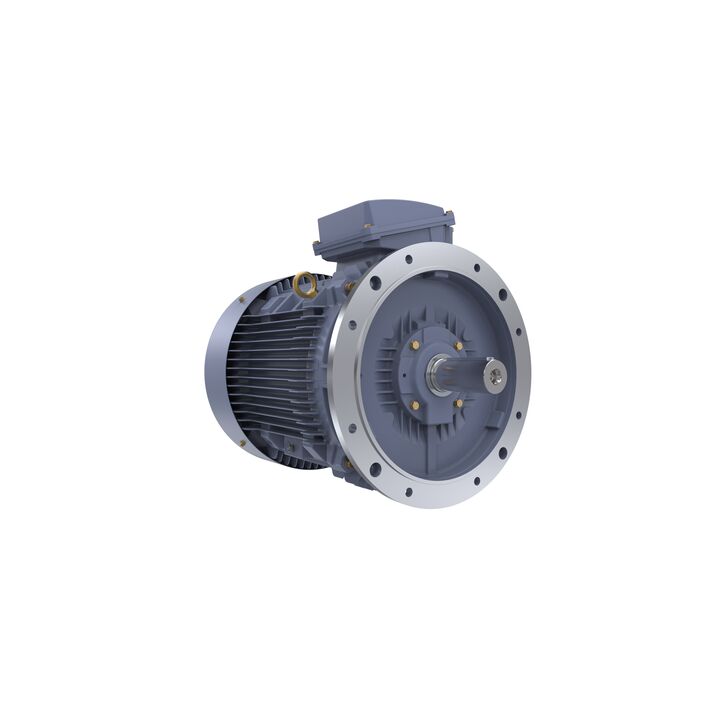 Cast Iron Motor, 75 HP, 3 Ph, 50 Hz, 400 V, 1500 RPM, 250M Frame, TEFC