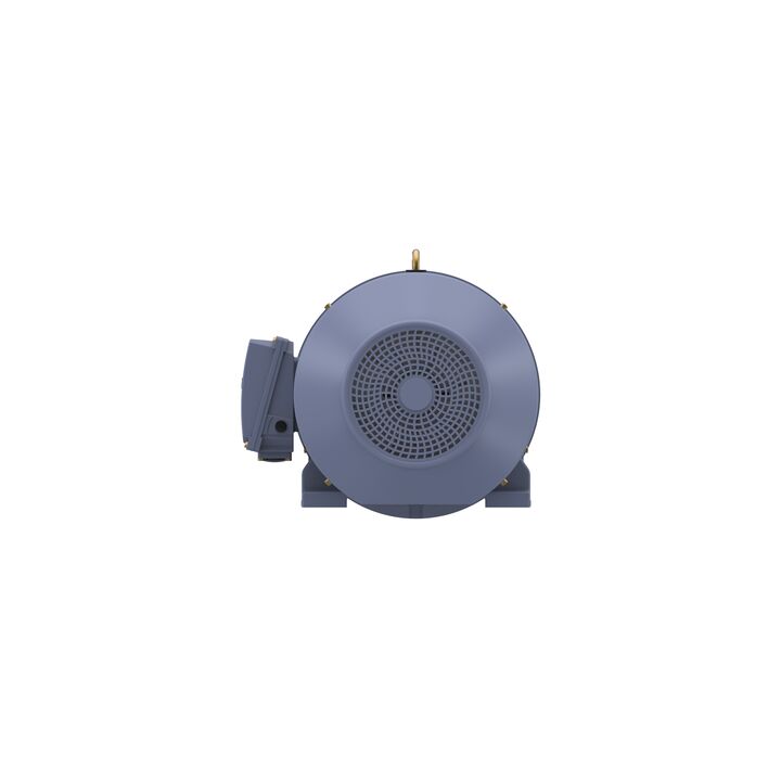 Cast Iron Motor, 75 HP, 3 Ph, 50 Hz, 415 V, 3000 RPM, 250M Frame, TEFC