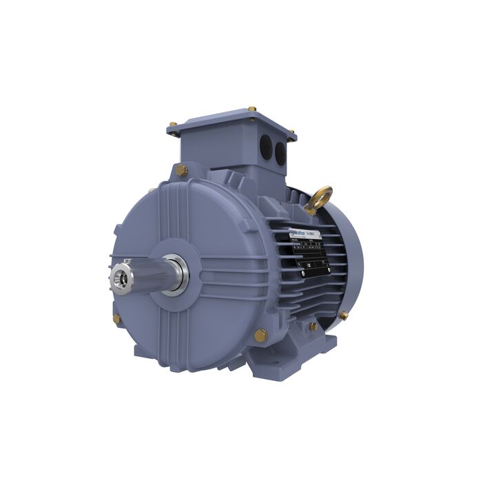 Cast Iron Motor, 1.50 HP, 3 Ph, 50 Hz, 220/380 V, 1500 RPM, 90S Frame, TEFC