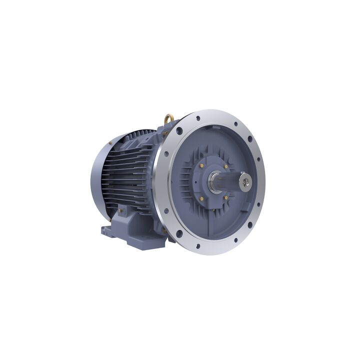 Cast Iron Motor, 75 HP, 3 Ph, 50 Hz, 415 V, 3000 RPM, 250M Frame, TEFC