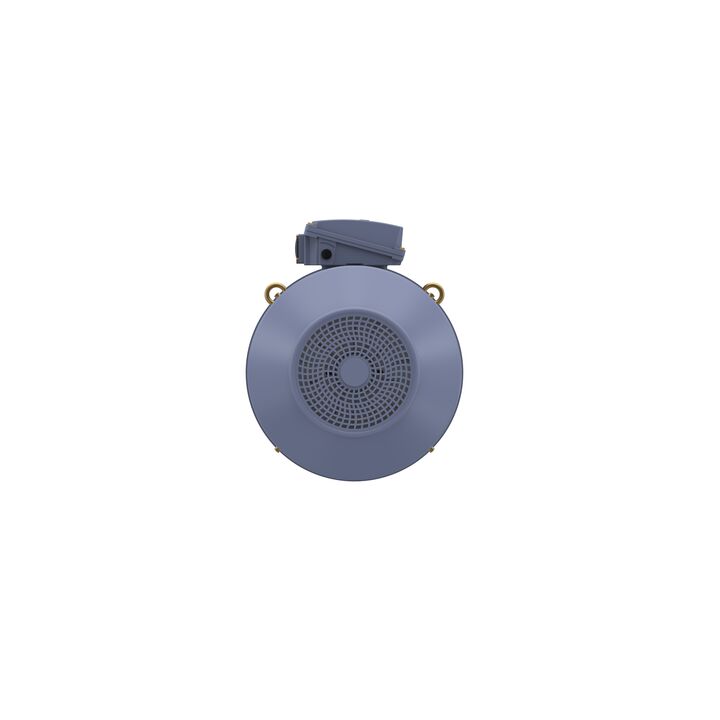Cast Iron Motor, 75 HP, 3 Ph, 50 Hz, 400 V, 1500 RPM, 250M Frame, TEFC