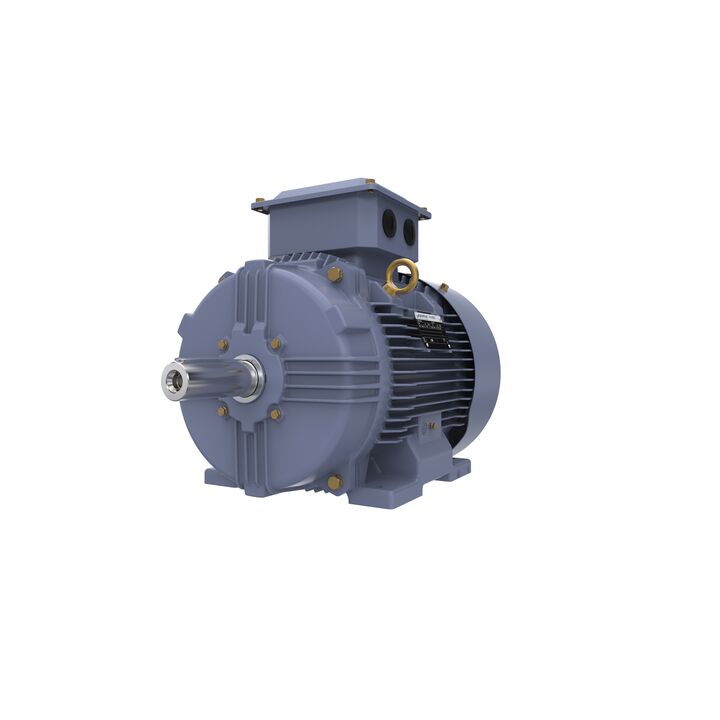 Cast Iron Motor, 15 HP, 3 Ph, 50 Hz, 400 V, 1500 RPM, 160M Frame, TEFC