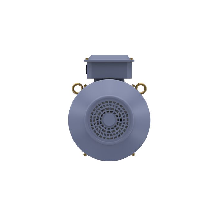 Cast Iron Motor, 15 HP, 3 Ph, 50 Hz, 400 V, 1500 RPM, 160M Frame, TEFC