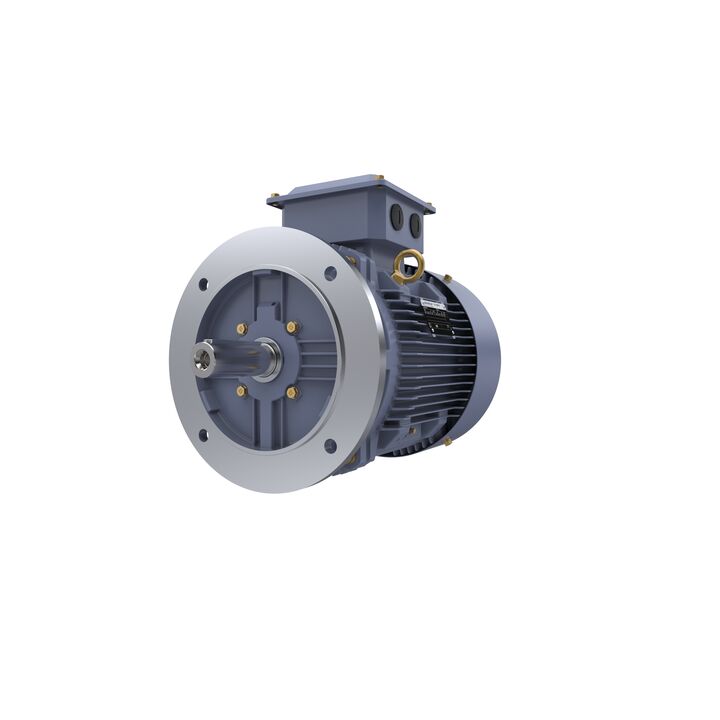 Cast Iron Motor, 15 HP, 3 Ph, 50 Hz, 415 V, 1000 RPM, 160L Frame, TEFC