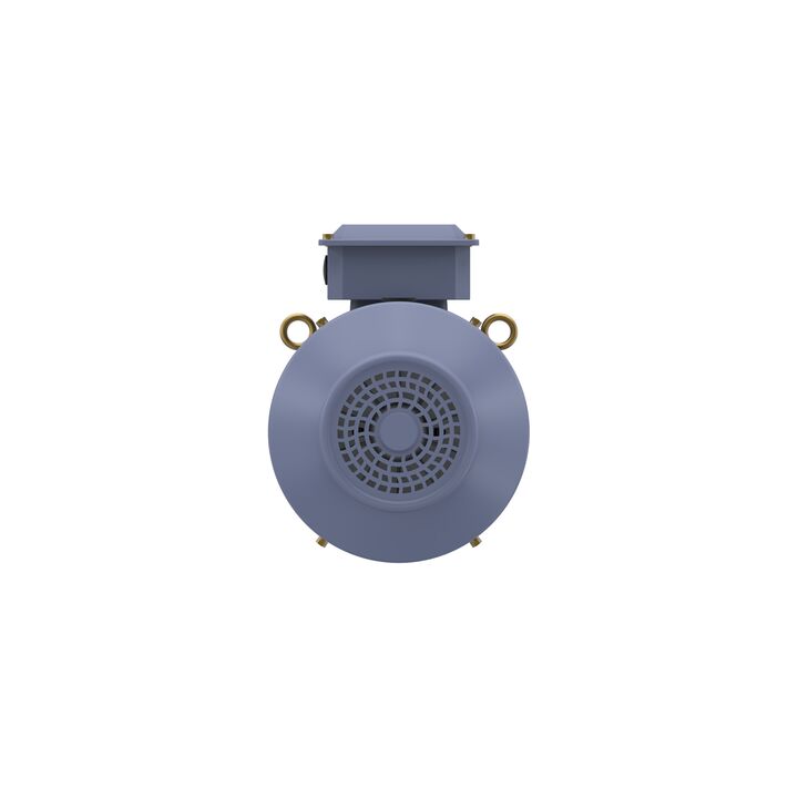 Cast Iron Motor, 15 HP, 3 Ph, 50 Hz, 400 V, 3000 RPM, 160M Frame, TEFC