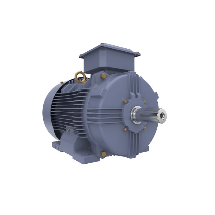 Cast Iron Motor, 15 HP, 3 Ph, 50 Hz, 400 V, 750 RPM, 180L Frame, TEFC