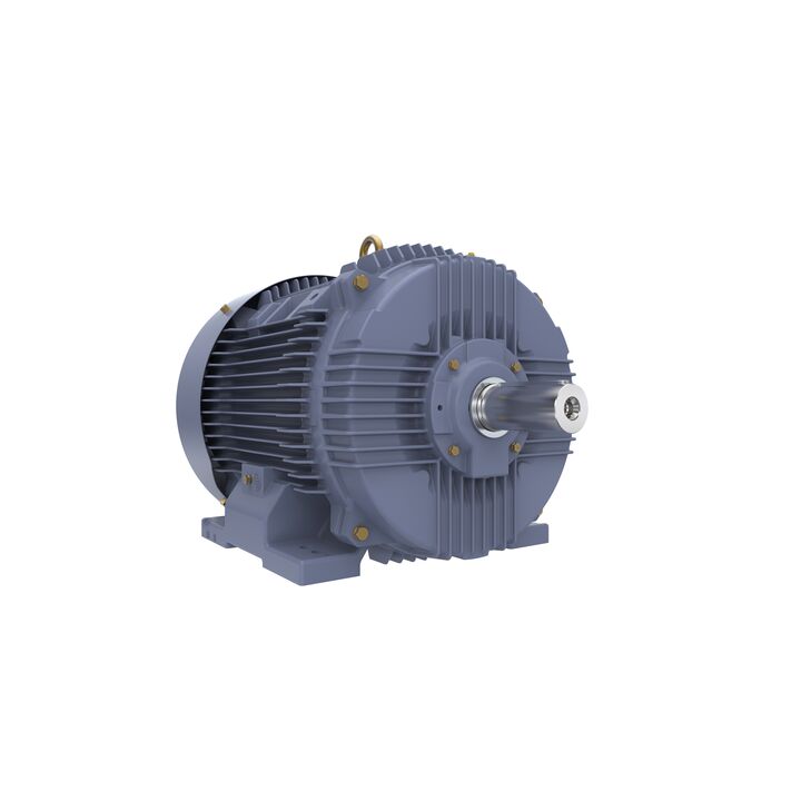 Cast Iron Motor, 75 HP, 3 Ph, 50 Hz, 415 V, 3000 RPM, 250M Frame, TEFC