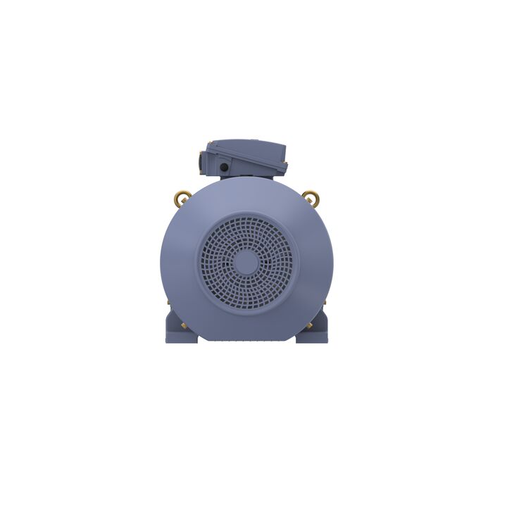 Cast Iron Motor, 75 HP, 3 Ph, 50 Hz, 380/660 V, 3000 RPM, 250M Frame, TEFC