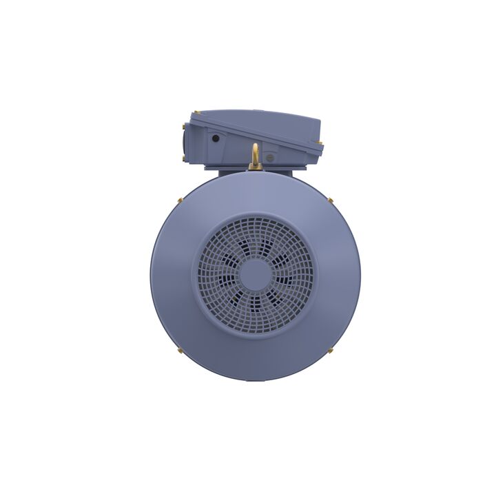 Cast Iron Motor, 150 HP, 3 Ph, 50 Hz, 380/660 V, 1000 RPM, 315L Frame, TEFC