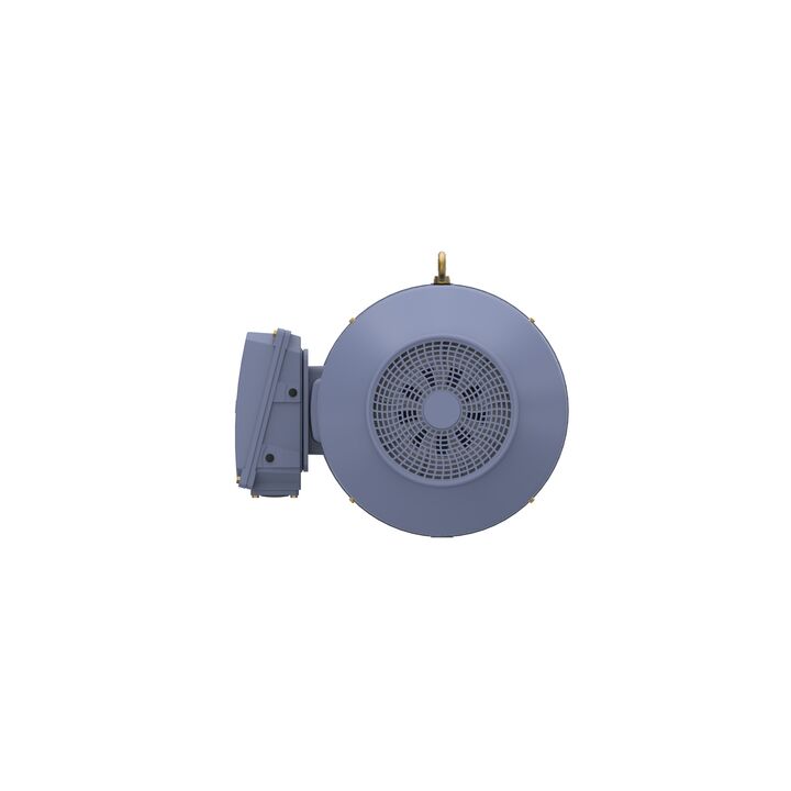 Cast Iron Motor, 150 HP, 3 Ph, 50 Hz, 415 V, 1000 RPM, 315L Frame, TEFC