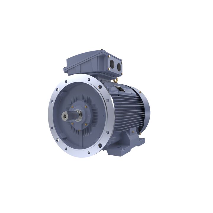 Cast Iron Motor, 150 HP, 3 Ph, 50 Hz, 380/660 V, 1000 RPM, 315L Frame, TEFC
