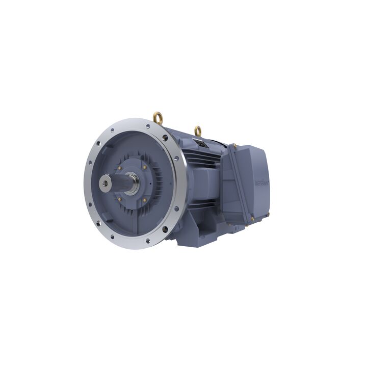 Cast Iron Motor, 150 HP, 3 Ph, 50 Hz, 380/660 V, 1000 RPM, 315L Frame, TEFC