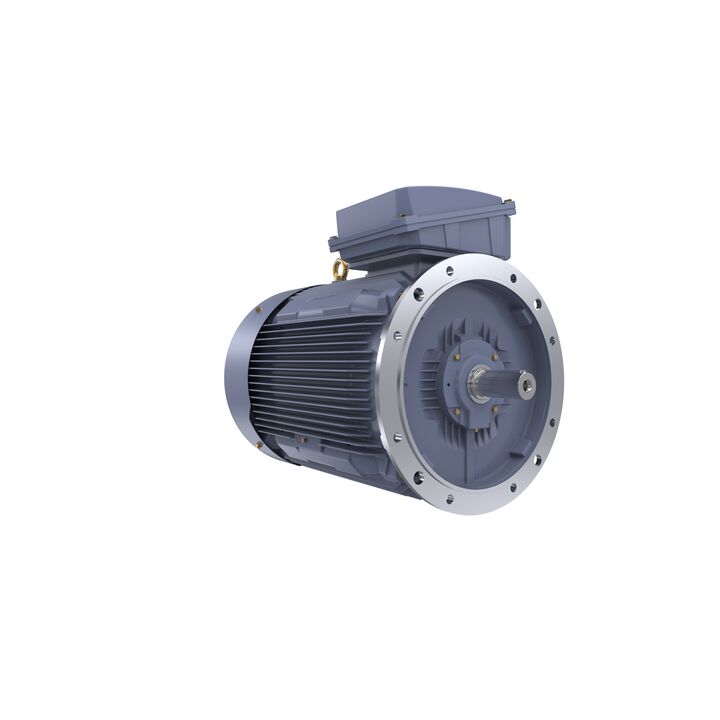 Cast Iron Motor, 150 HP, 3 Ph, 50 Hz, 380/660 V, 1000 RPM, 315L Frame, TEFC