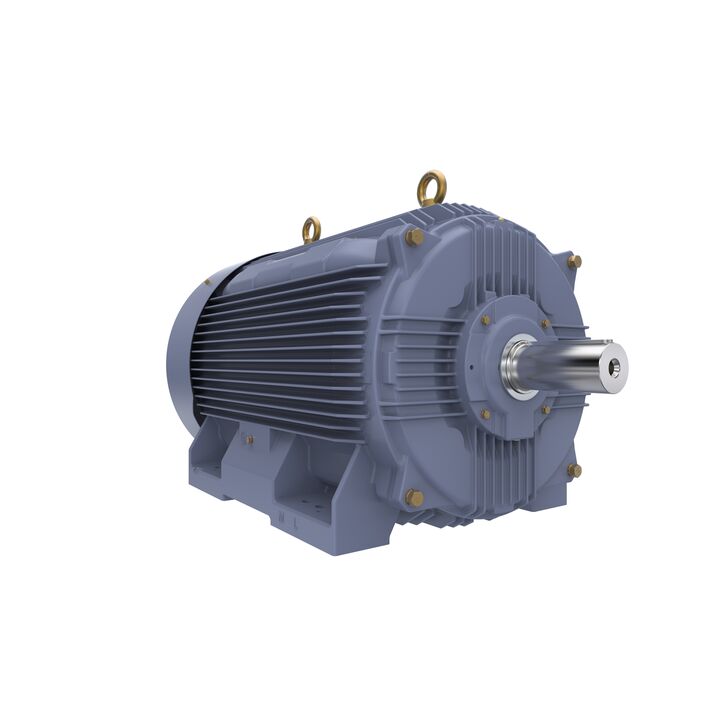 Cast Iron Motor, 150 HP, 3 Ph, 50 Hz, 380/660 V, 1000 RPM, 315L Frame, TEFC