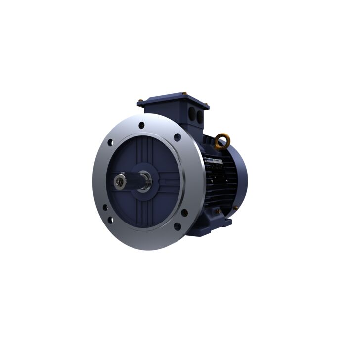 Cast Iron Motor, 2 HP, 3 Ph, 50 Hz, 415 V, 1000 RPM, 100L Frame, TEFC