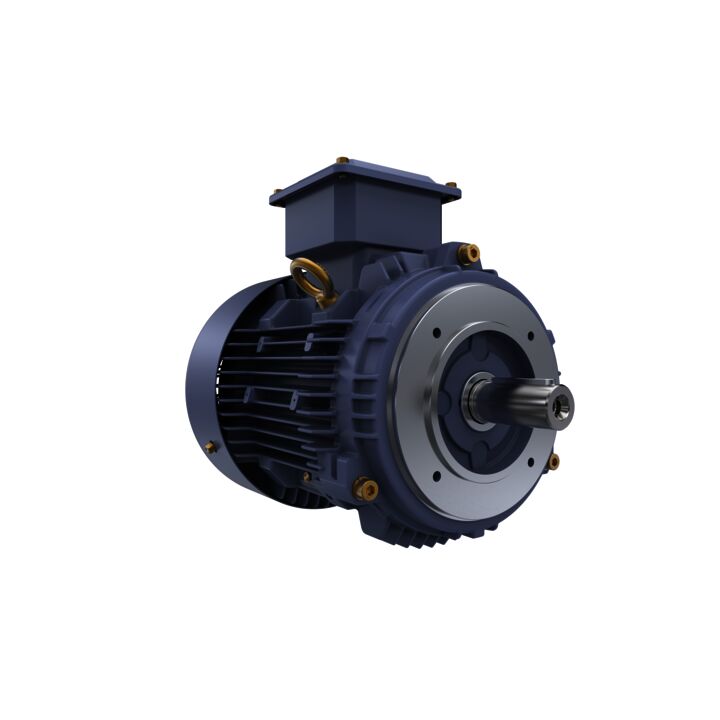 Cast Iron Motor, 5 HP, 3 Ph, 50 Hz, 415 V, 3000 RPM, 100L Frame, TEFC