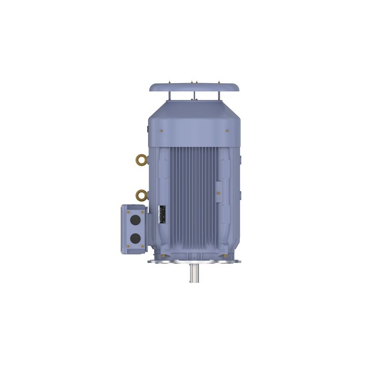 Cast Iron Motor, 150 HP, 3 Ph, 50 Hz, 380/660 V, 1000 RPM, 315L Frame, TEFC
