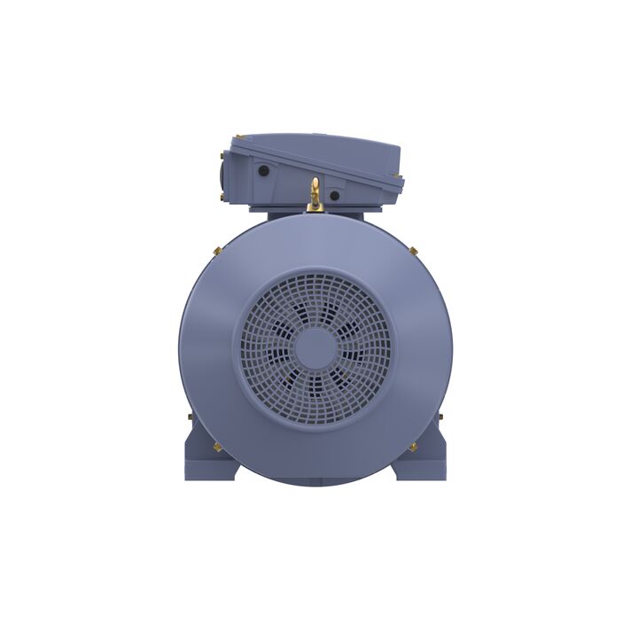Cast Iron Motor, 150 HP, 3 Ph, 50 Hz, 380/660 V, 1000 RPM, 315L Frame, TEFC