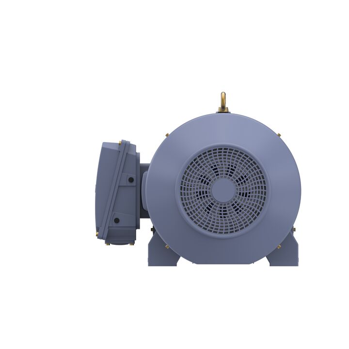 Cast Iron Motor, 150 HP, 3 Ph, 50 Hz, 380/660 V, 1000 RPM, 315L Frame, TEFC