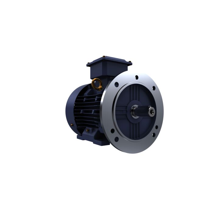 Cast Iron Motor, 3 HP, 3 Ph, 50 Hz, 415 V, 1500 RPM, 100L Frame, TEFC