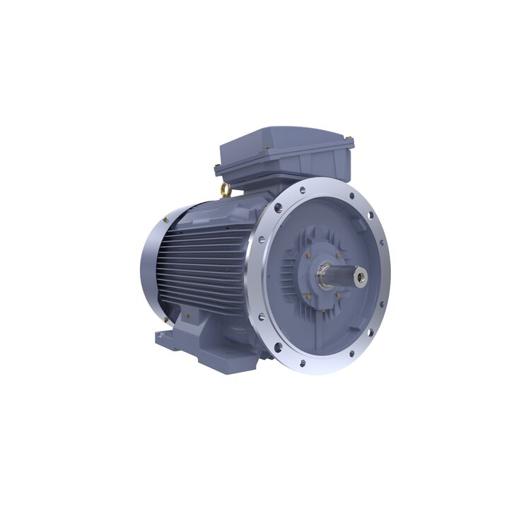 Cast Iron Motor, 150 HP, 3 Ph, 50 Hz, 380/660 V, 1000 RPM, 315L Frame, TEFC